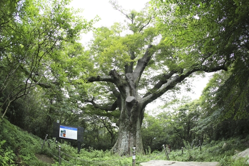 "희망 충전 땅끝으로 가자"…1월에 가기 좋은 곳, 해남