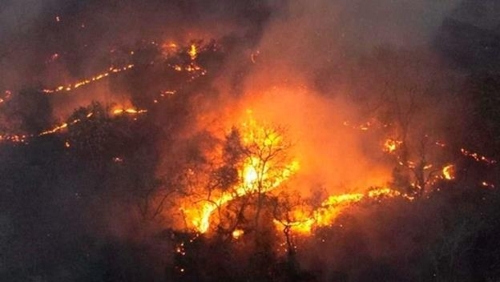 브라질서 작년 산불로 축구장 4천450만개 넓이 삼림 불타