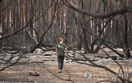 "작은 불로 큰불 막는다"…호주 원주민 산불예방 '지혜' 재조명