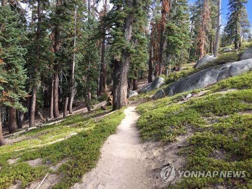 미국 요세미티 국립공원 방문객 170여명 노로바이러스 감염