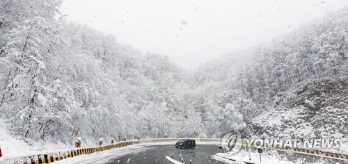 강원 중북부 산지 대설주의보…고성 진부령 16.6㎝