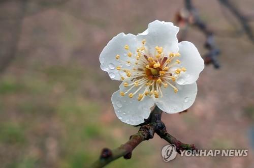 대구·경북 흐린 날씨…미세먼지 '조심'