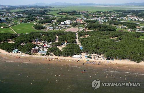 "더 많은 관광객을"…충남 주요 해수욕장에 전망대 설치 붐