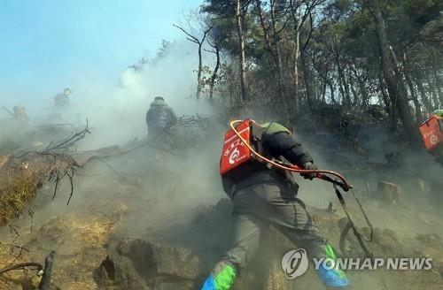 공주 계룡산국립공원 자락에 불…강한 바람에 진화에 어려움