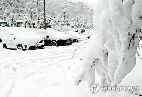 [고침] 지방(어이할꼬…눈 없어 애타던 태백산 눈꽃축제 끝…)