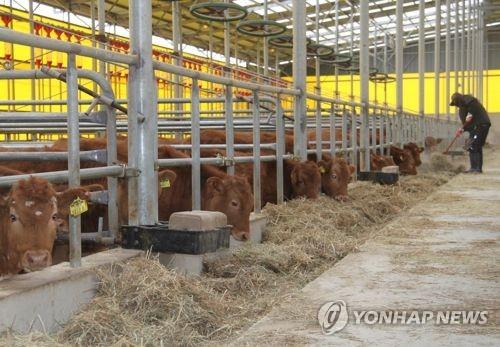 보은군 축사 신축 어려워진다…제한구역 확대 등 조례 개정