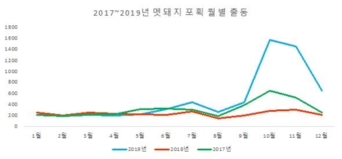 '멧돼지 잡아라' 작년 119 출동 배로 증가…10∼12월 집중