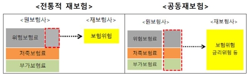 2분기에 공동재보험 도입…보험사 부채 축소 위해