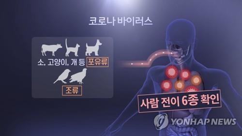 한국다문화센터 "신종 코로나로 국내 中이주민 피해 없어야"