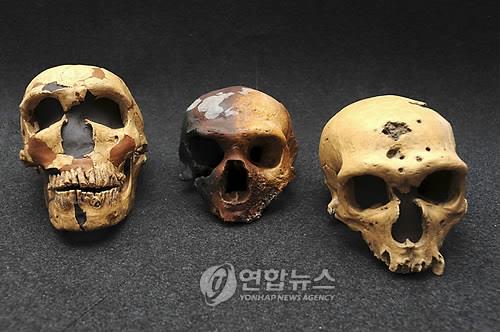 '동아시아인, 네안데르탈인 유전자 많이 가졌다' 학설 '흔들'