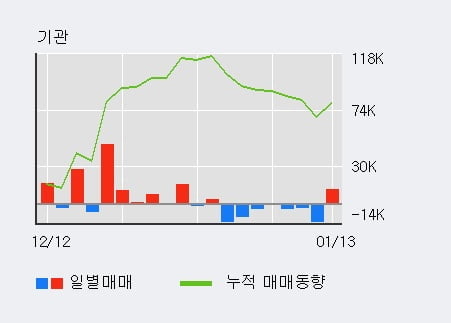 '레이' 52주 신고가 경신, 최근 5일간 기관 대량 순매도