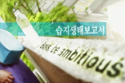2012 드라마 스페셜│작지만 깊은 발자국에 이 상을 드립니다