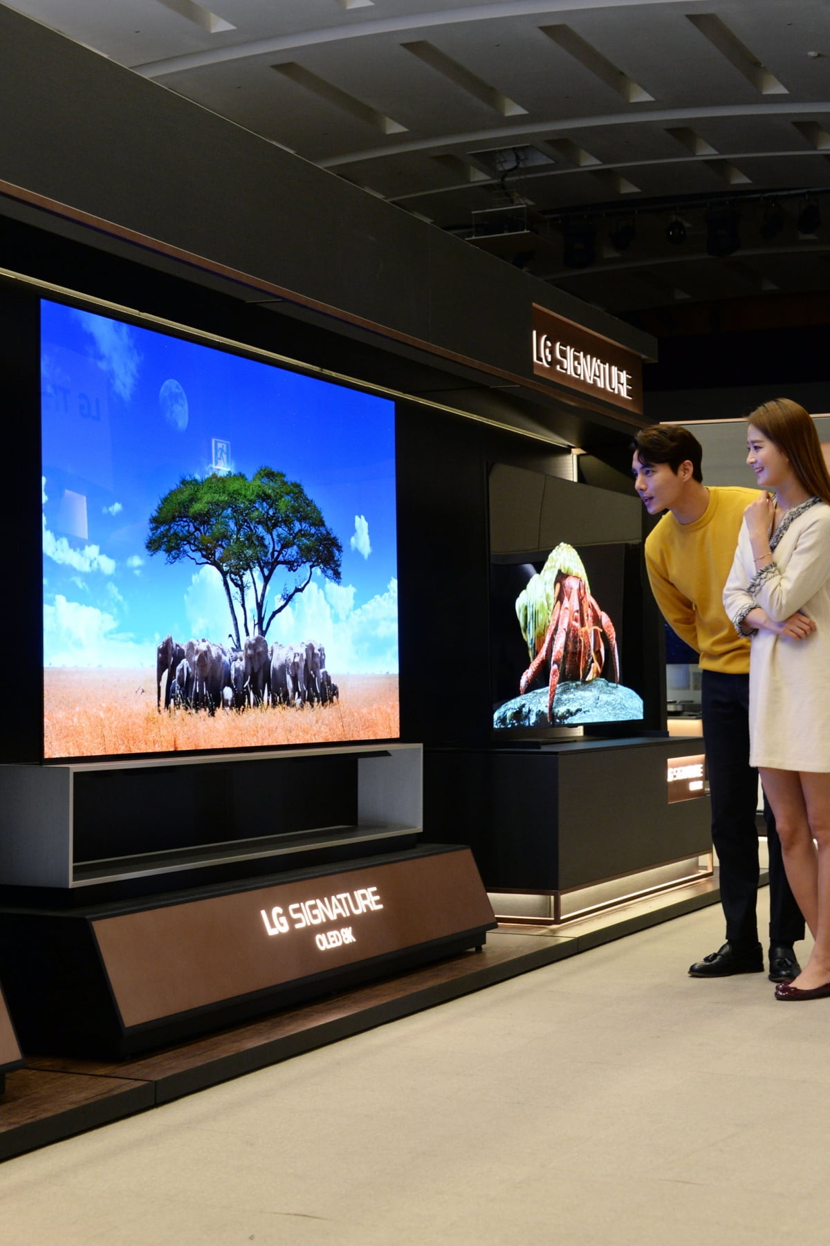 LG전자, 8K TV 라인업 확대…AI로 화질·사운드 최적화