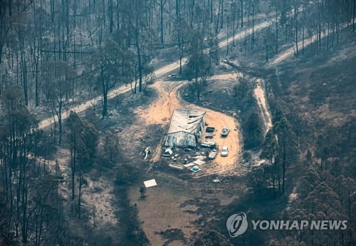 샘 해밍턴, 호주 산불에 갇힌 `코알라` 영상에 "눈물 난다"