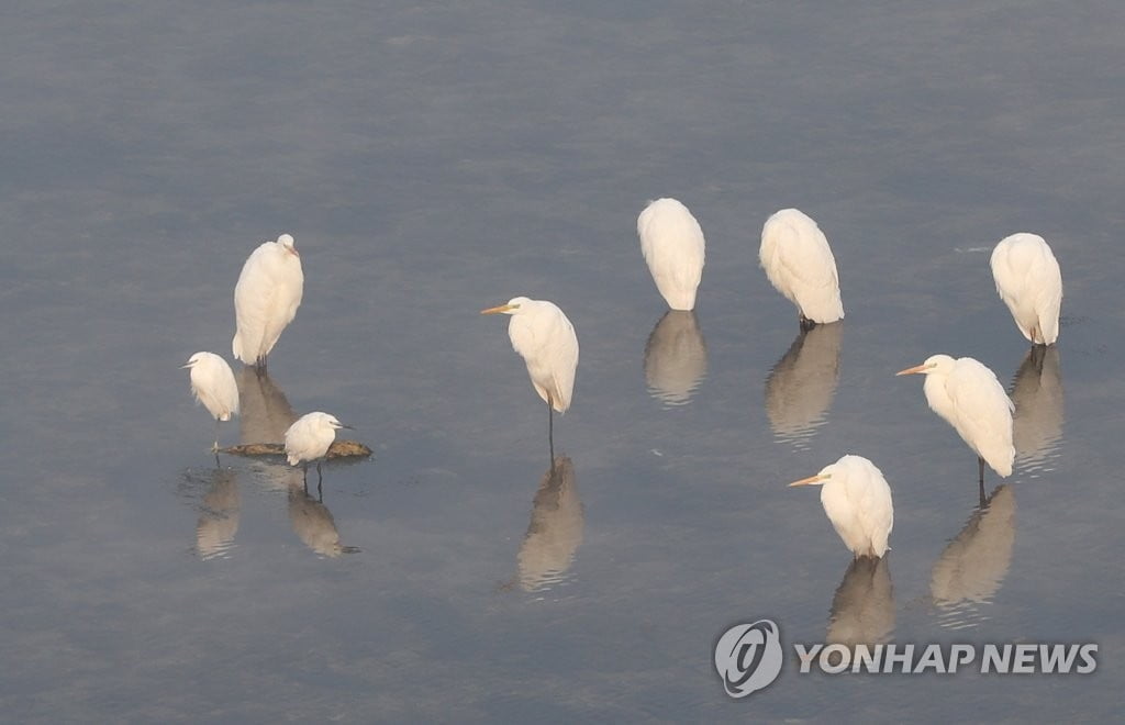 [날씨] 목요일 아침기온 `뚝`…서울 체감온도 `영하 9도`