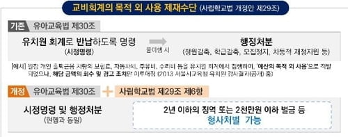 `유치원3법` 통과, `원비 빼돌려 명품백 사는 유치원장` 처벌 가능해진다