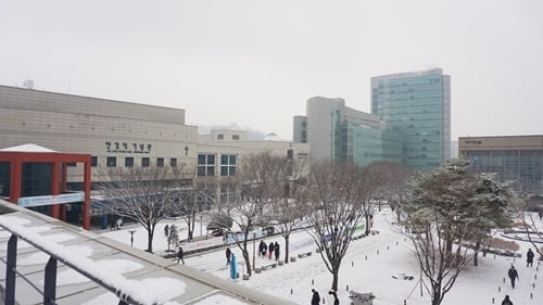 숭실사이버대학교 2020년 1학기 정시모집 입시결과 발표