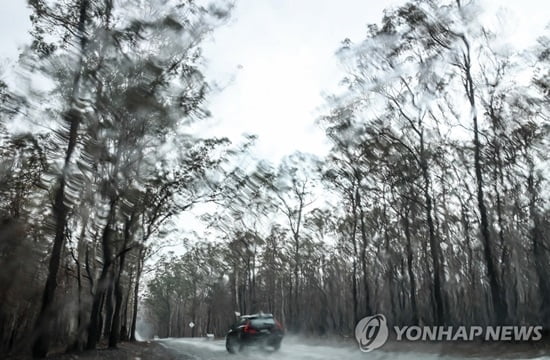 호주 비, 주말까지 많은 양 예보…산불진화 숨통 트일 듯