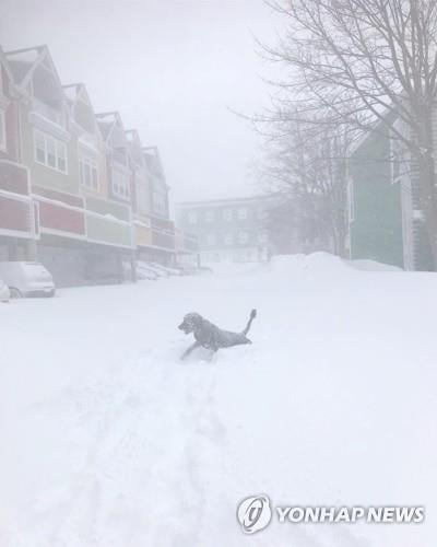 캐나다 동부 연안 최악의 눈폭풍…75㎝ 폭설, 도시 `비상사태`
