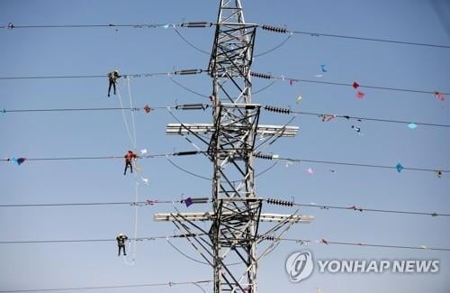 `동물 학대 논란` 인도 전통투우, 올해 축제서 1명 사망·60여명 부상