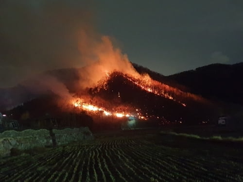 계룡산 화재, 주민 280명 긴급대피... 6시간 만에 진화