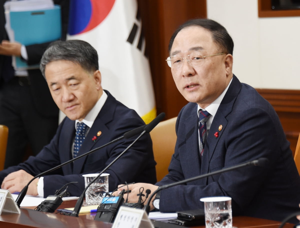 홍남기 "`우한폐렴` 관련 방역 예산 208억원 신속 집행"