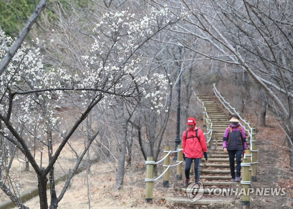 [날씨] 구름 많고 포근한 금요일…일부 지역 눈 또는 비