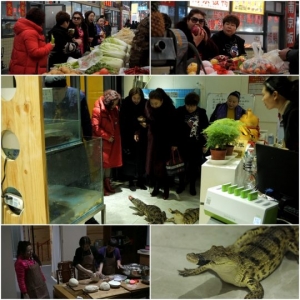 '아내의 맛' 함소원♥진화, 중국파파 환갑잔치 위해 두 팔 걷고 나섰다