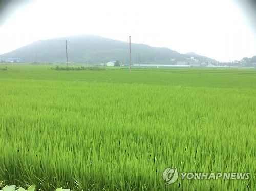 거창군 '3무 농업' 실천 농가에 최대 50만원 장려금 지급