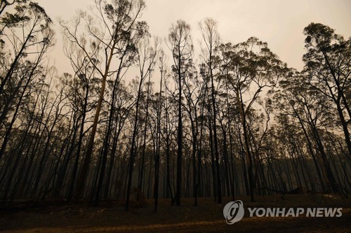 호주에 내린 비…산불 끄기에 역부족…또 대피령