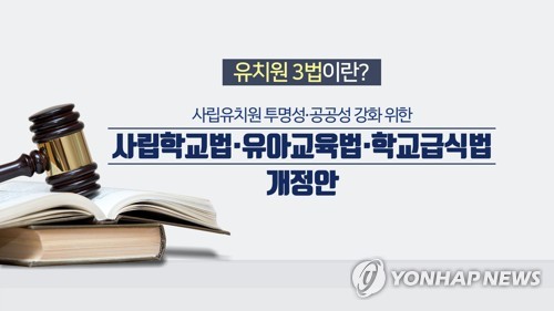 원비 빼돌려 명품백 사는 유치원장 처벌 가능…'유치원3법' 통과(종합)