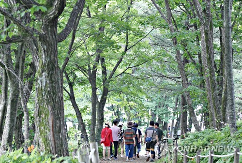 강원도, 산불·산사태 등 3대 산림재해 예방에 800억 투입