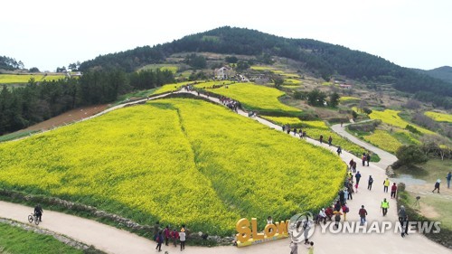 완도군, 축제 프로그램 아이디어 공모전