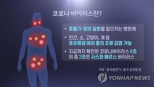 "신종코로나 충격, 최소한 사스 수준…향후 한 달이 관건"(종합)