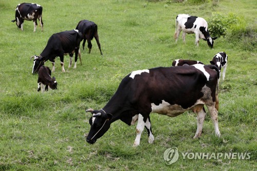 낙농 선진국 뉴질랜드 학교에선 "낙농품 고기 덜 먹어야"