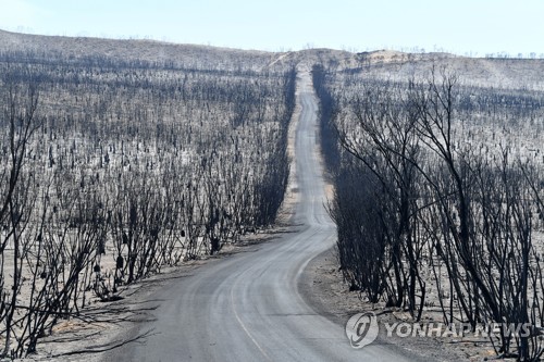 호주 산불 진화에 소방관 3천700명·병력 3천명 투입 '총력전'