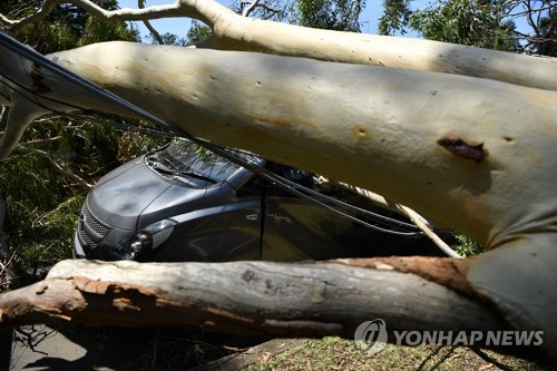 호주 시드니, 폭풍우로 피해 속출…2천억 이상 피해 추산