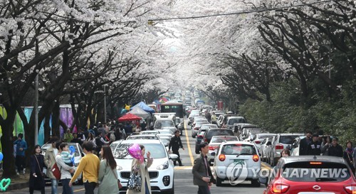 [줌in제주] 끝없는 논란 속 주차난 해결 골든타임 놓친 제주