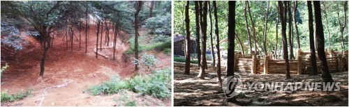 세종시교육청 생태 중심 인성교육 추진…체험처 74곳 발굴
