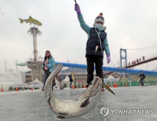 "추울수록 신난다"…주말부터 겨울왕국 강원도는 축제장