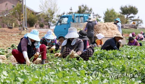 충남도 여성 농어업인 바우처 지원 연령 만 75세까지 확대