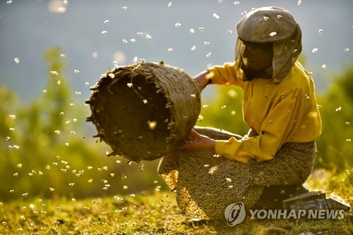'기생충'과 오스카 트로피 다툴 영화는?