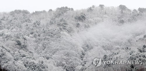 강원 중·남부 산지 대설경보…5∼30cm 더 내릴 듯