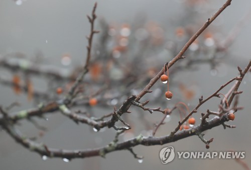 설 연휴 제주도 가끔 비…예상 강수량 30∼80㎜