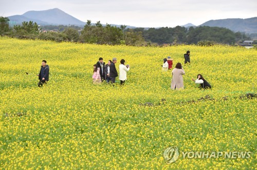 제주도, 빅데이터 기반 관광지 자동추천 플랫폼 개발추진