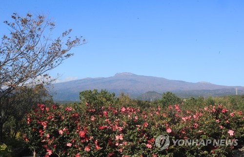 '제주는 완연한 봄' 일 최저기온 18.5도…관측 이래 가장 높아