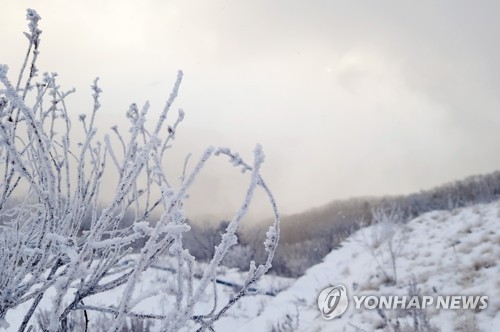 "반갑다! 새해야"…강원 동해안 해돋이명소 '인산인해'(종합)