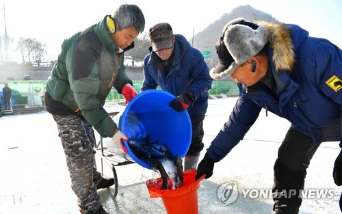 "외국인 관광객 먼저 즐겨요" 화천산천어축제 4일 사전 개장