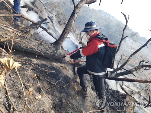 눈 없는 겨울 '산불 위험 고조'…벌써 축구장 14개 '활활'