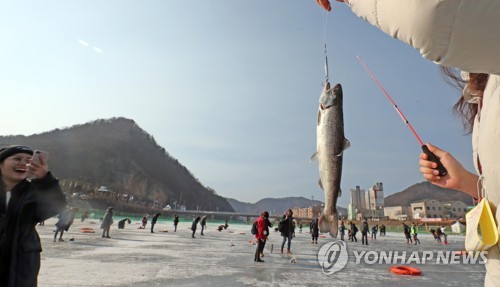 화천산천어축제 외국인 전용 얼음낚시터 재개장